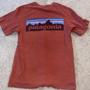 Brown Patagonia t shirt